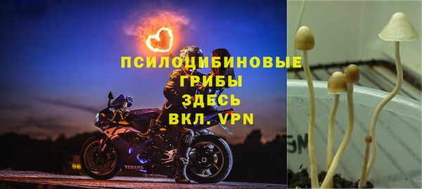 кокс Дмитровск