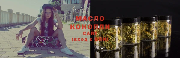 спиды Ельня
