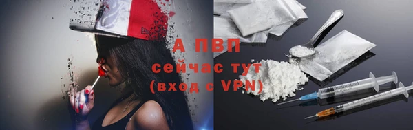твердый Дмитриев