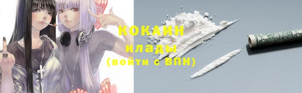 твердый Дмитриев