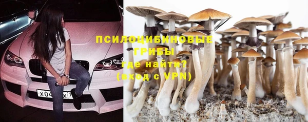 кокс Дмитровск