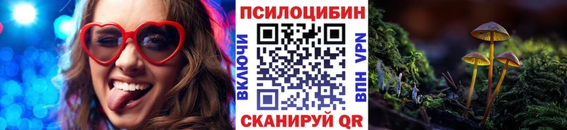 Галлюциногенные грибы Psilocybe  Купить закладки  Калачинск 